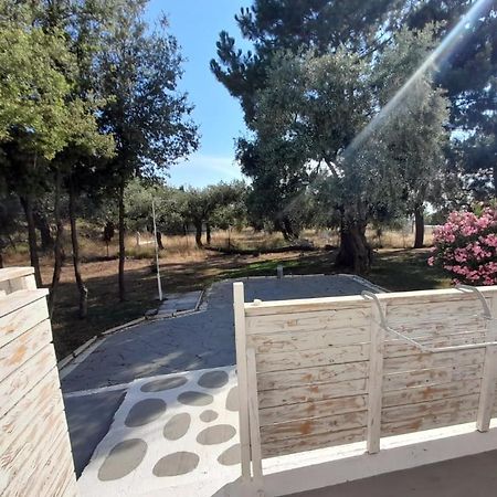 Orama Thassos Ξενοδοχείο Σκάλα Σωτήρος Εξωτερικό φωτογραφία