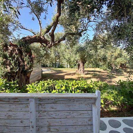 Orama Thassos Ξενοδοχείο Σκάλα Σωτήρος Εξωτερικό φωτογραφία