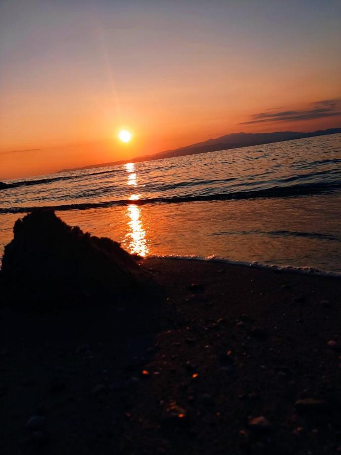 Orama Thassos Ξενοδοχείο Σκάλα Σωτήρος Εξωτερικό φωτογραφία