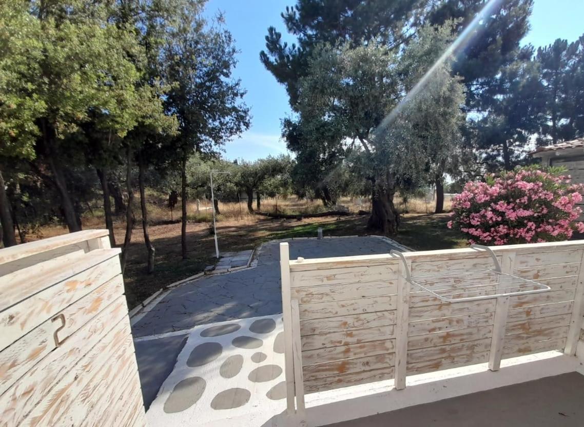 Orama Thassos Ξενοδοχείο Σκάλα Σωτήρος Εξωτερικό φωτογραφία