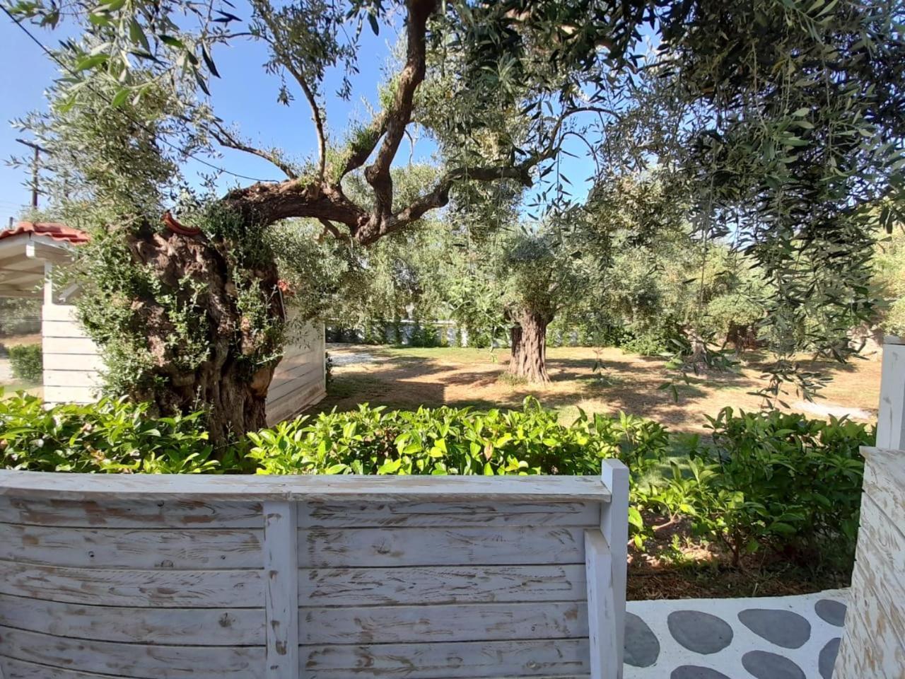 Orama Thassos Ξενοδοχείο Σκάλα Σωτήρος Εξωτερικό φωτογραφία