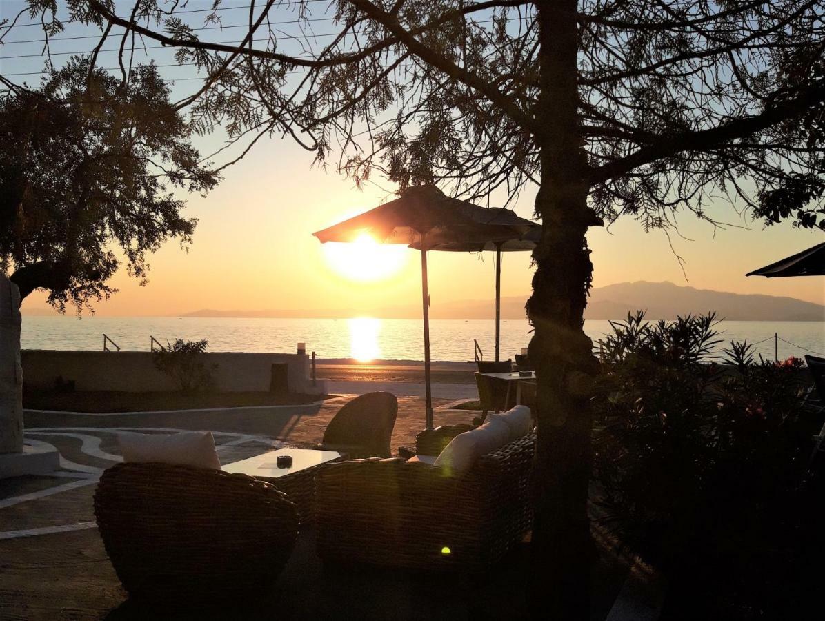 Orama Thassos Ξενοδοχείο Σκάλα Σωτήρος Εξωτερικό φωτογραφία